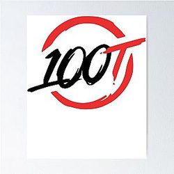 100 Thieves Poster