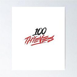 100 thieves Poster