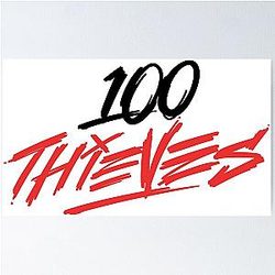 100 Thieves Logo Poster