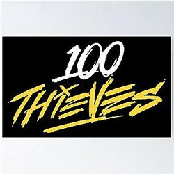 100 Thieves Poster