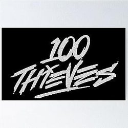100 Thieves Poster