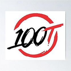 100 Thieves Poster