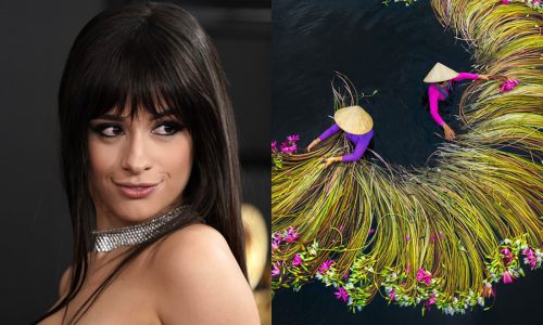 Camila Cabello Shop: Must‑Have Items Every Singer Fan Craves