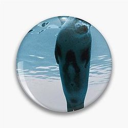 A-ha - How Can I Sleep with Your Voice in My Head (album, 2003) release Pun