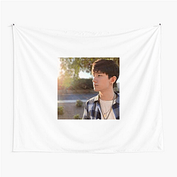 aceu Prestige Edition Aceu Tapestries