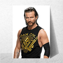 Bay Bay Adam Cole Posters
