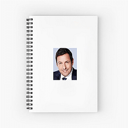 Adam Sandler received praise for his role in Uncut Gems Adam Sandler Notebook