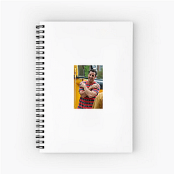 Adam Sandler's hit films include Happy Gilmore and The Waterboy Adam Sandler Notebook