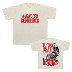 Hardcore Punk Aesthetic NTAN0302 A Day to Remember T-Shirts