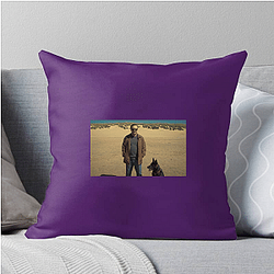 After Life ran for three seasons After Life Pillows Cover