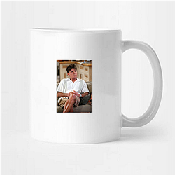 aka Charlie Sheen follows the life of actor Charlie Sheen aka Charlie Sheen Mugs