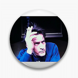 aka Charlie Sheen discusses his journey to sobriety aka Charlie Sheen Pins