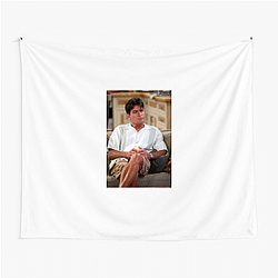 aka Charlie Sheen follows the life of actor Charlie Sheen aka Charlie Sheen Tapestries