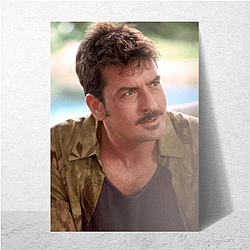 aka Charlie Sheen was directed by Andrew Renzi aka Charlie Sheen Posters