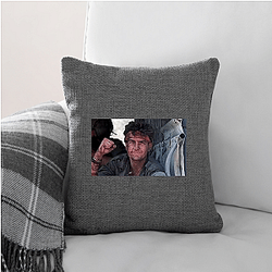 aka Charlie Sheen is a biographical series aka Charlie Sheen Pillows Cover