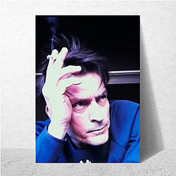 aka Charlie Sheen discusses his journey to sobriety aka Charlie Sheen Posters