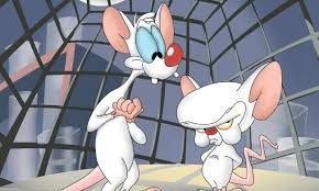 Zort! Narf! Poit! The Legacy of Pinky and the Brains Catchphrases