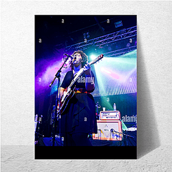 Alabama Shakes Roots Rockin' the World Aesthetic Alabama Shakes Posters