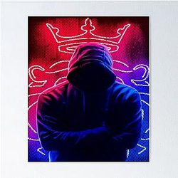 EDM - Alan Walker Poster