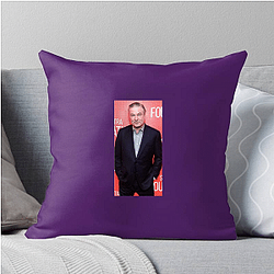 Alec Baldwin won two Emmy Awards for his role Alec Baldwin Pillows Cover