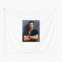 Alec Baldwin is the eldest of the Baldwin brothers Alec Baldwin Tapestries