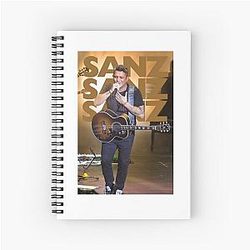 Alejandro Sanz Concert