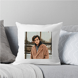Alexander Stewart Blame's On Me Fan Alexander Stewart Pillows Cover