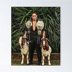 Amanda Nunes UFC Poster