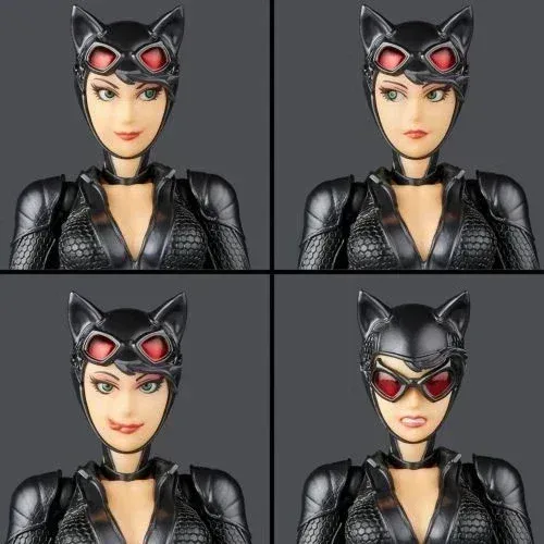 Kaiyodo Catwoman Revoltech Amazing Yamaguchi Anime Figure