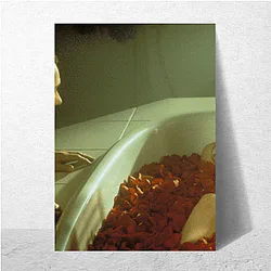 American Beauty Unforgettable Scenes American Beauty Posters