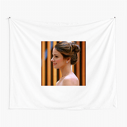 Amy Acker has appeared in many sci-fi shows Amy Acker Tapestries