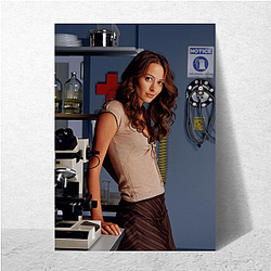 Amy Acker's career began in the early 2000s Amy Acker Posters