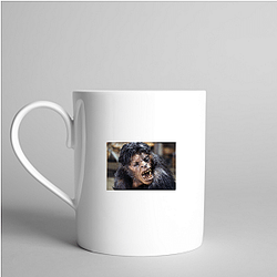 An American Werewolf in London The World Is A Full Moon An American Werewolf In London Mugs