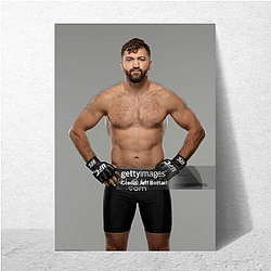 Former Champion Andrei Arlovski Posters