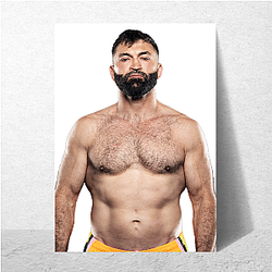 Heavyweight Icon Andrei Arlovski Posters