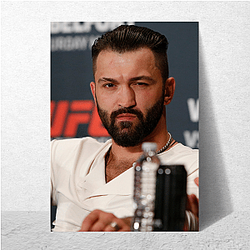 Octagon Legend Andrei Arlovski Posters