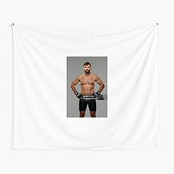Former Champion Andrei Arlovski Tapestries