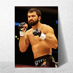 Knockout Artist Andrei Arlovski Posters
