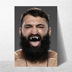 Fight Veteran Andrei Arlovski Posters