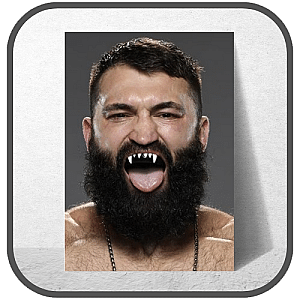 Andrei Arlovski Posters