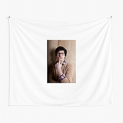 Andy Samberg has a very successful career Andy Samberg Tapestries