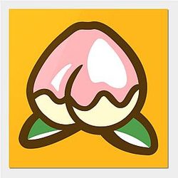 Animal Crossing Posters - Peach Crossing Poster TP2712