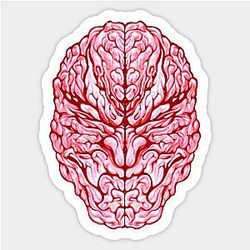 Natural Fighter's Brain Sticker TP0401