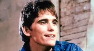 Dallas Winston Merchandise: Matt Dillon’s Iconic Gear