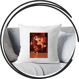 Anni The Duck Pillows Cover