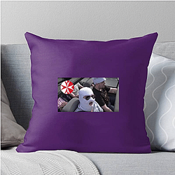 Anomaly Merchandise Anomaly Pillows Cover