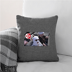 Anomaly Merchandise Anomaly Pillows Cover