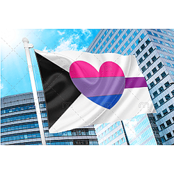 Biromantic Demisexual Flag | Aromantic Flag Store PN2101