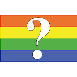 Questioning Pride Flag | Aromantic Flag Store PN2101