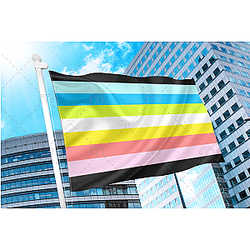 Queer Pride Flag | Aromantic Flag Store PN2101